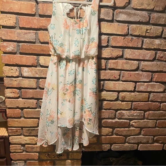 Lily Rose Sleeveless Hi-Lo Dress Ivory w/Coral Flowers Sz S - Picture 4 of 7